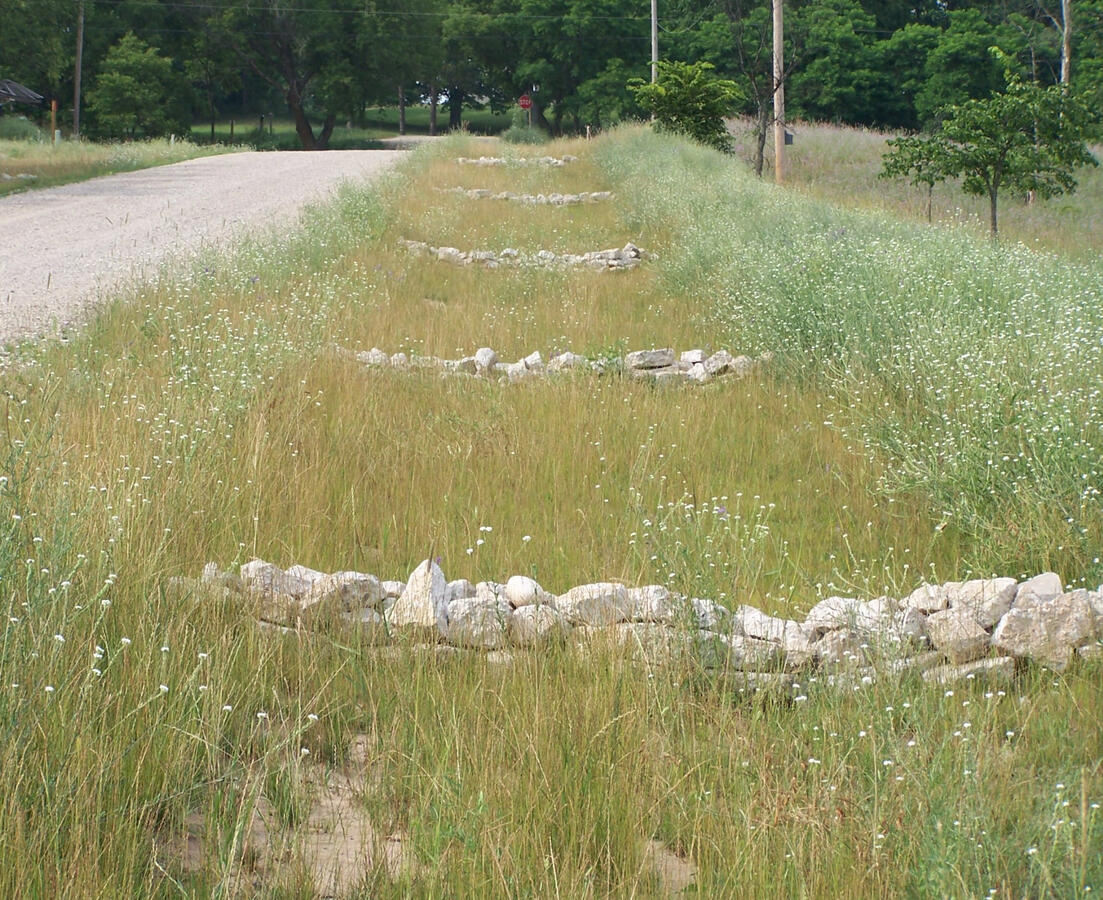Erosion Prevention Check Dams
