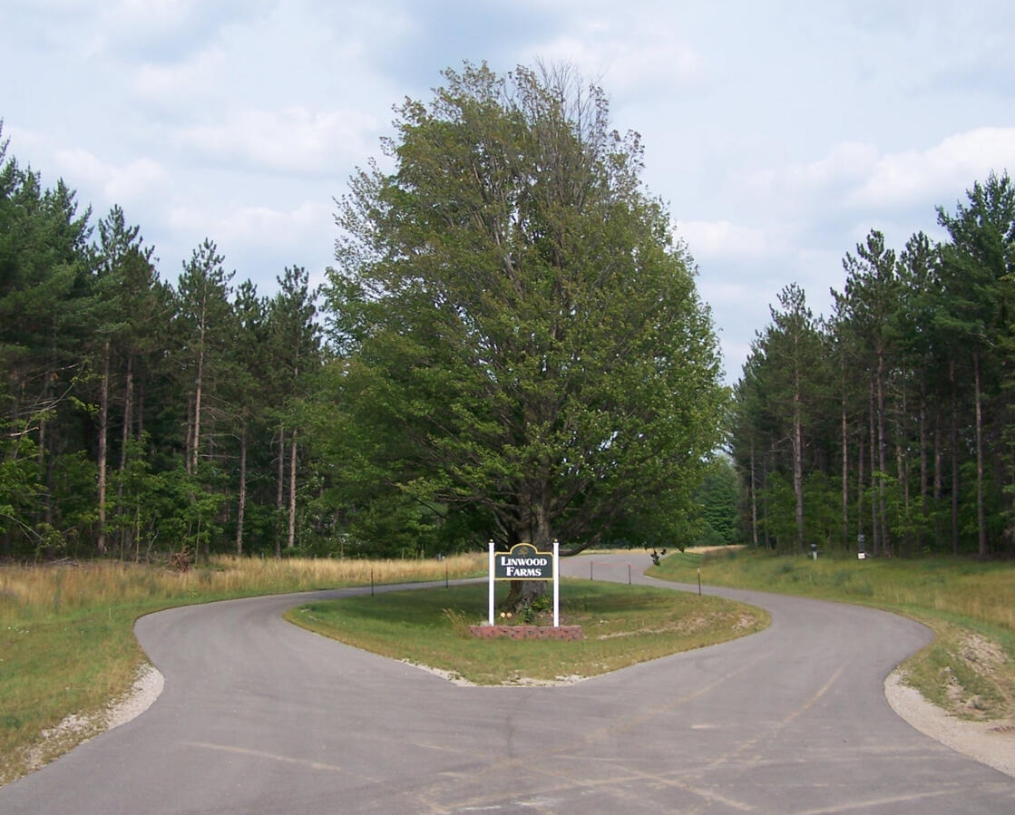 Full Subdivision Construction